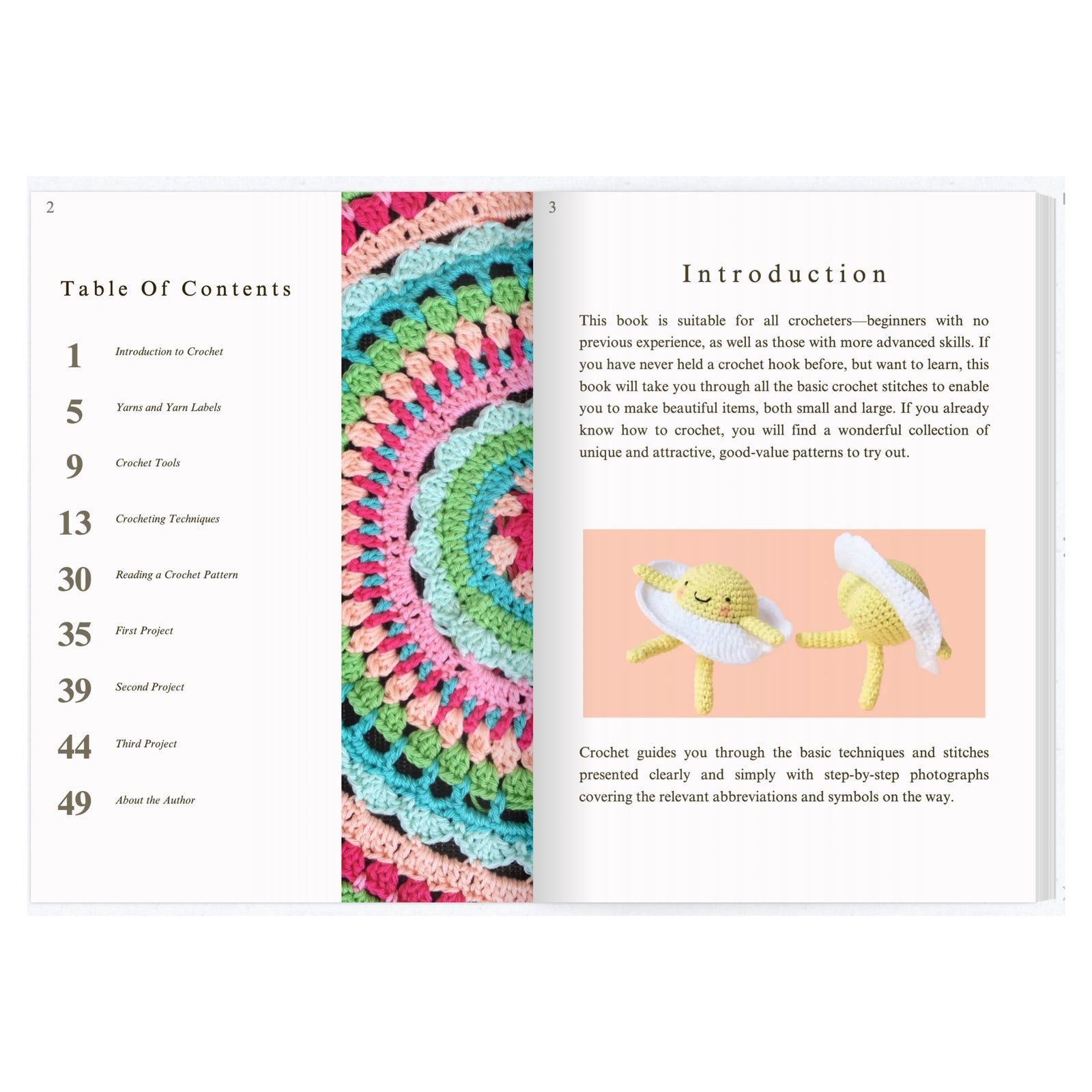 Guide de crochet ultime, ebook de crochet complet pour les débutants et avancés, incluez des modèles de crochet